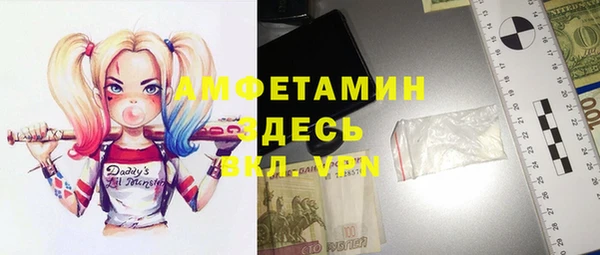 трава Инта