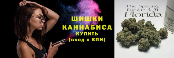 трава Инта