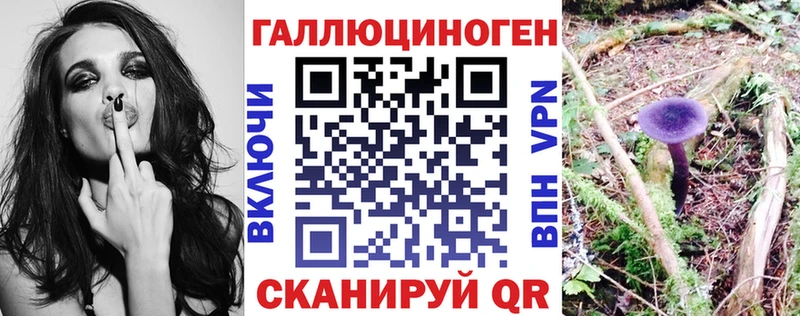 Псилоцибиновые грибы MAGIC MUSHROOMS  Купить закладки  Дигора 